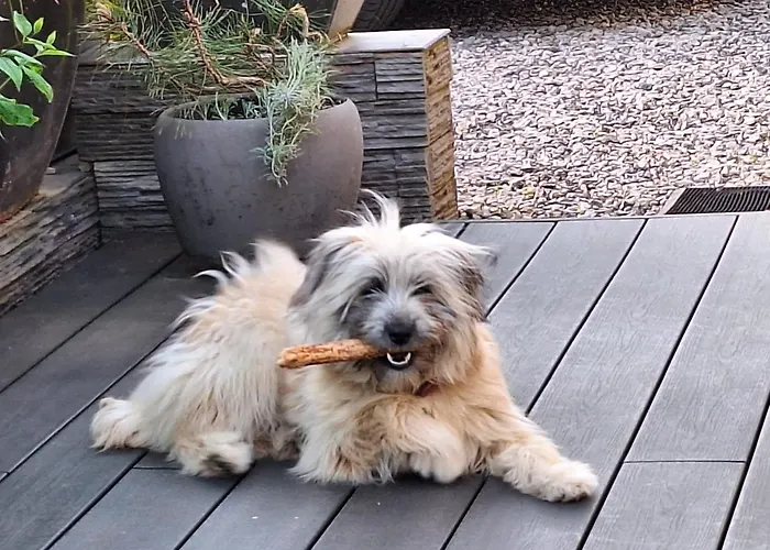 Maison Du Combayre A *