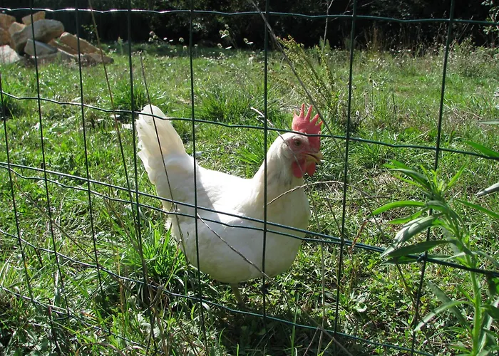 Maison Du Combayre A Σπίτι διακοπών