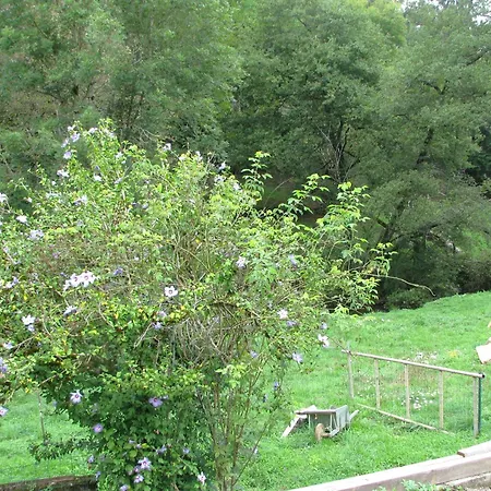 Maison Du Combayre A Сasa de vacaciones Estaing (Aveyron)
